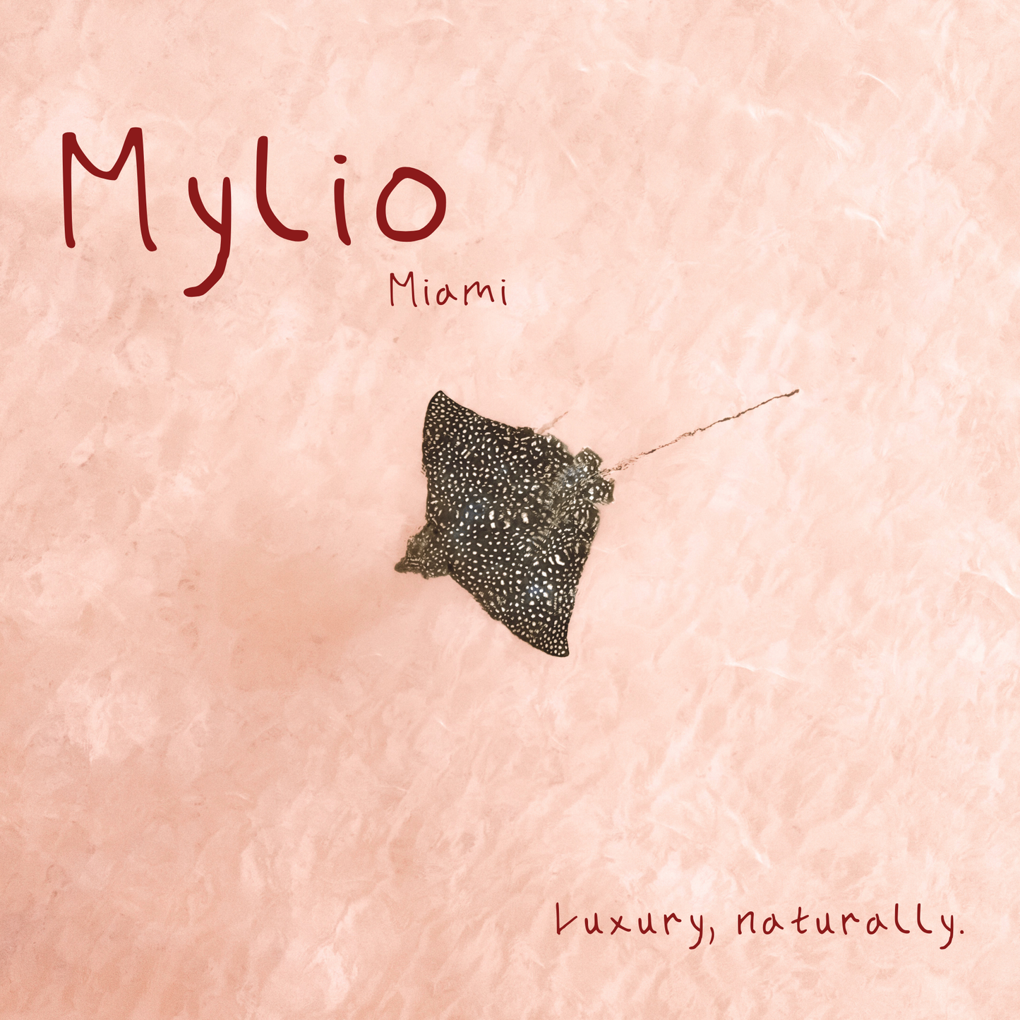 Mylio Fragrances Exclusive Credit +