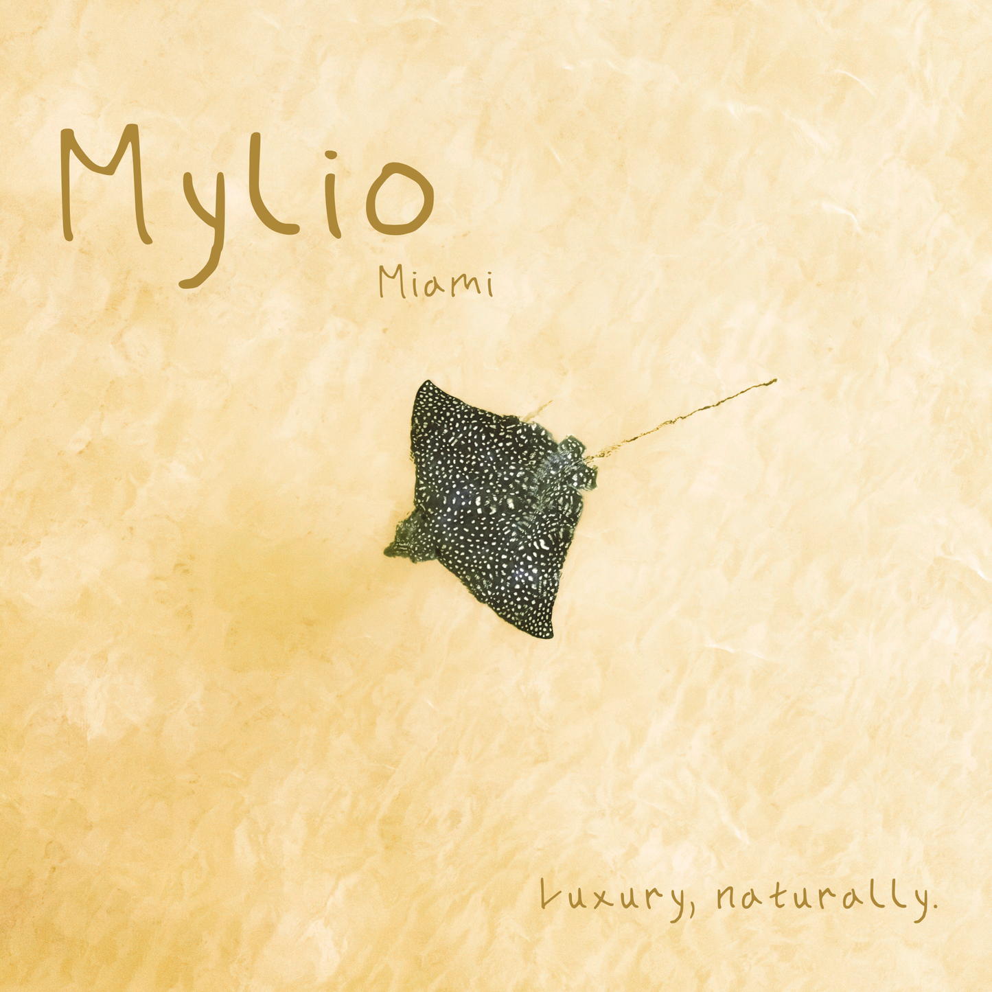Mylio Fragrances Exclusive Credit Premium