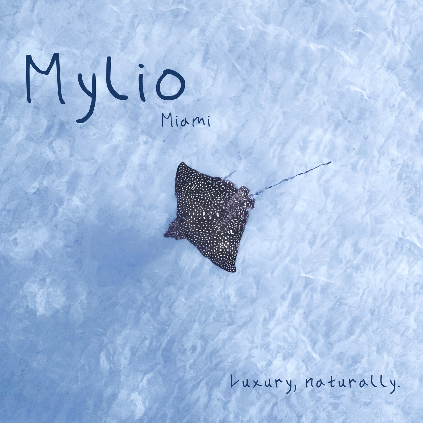 Mylio Fragrances Exclusive Credit